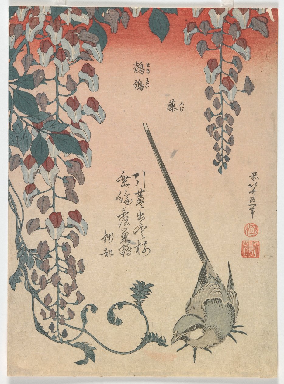 Ballerina e glicine, periodo Edo, 1834 da Katsushika Hokusai