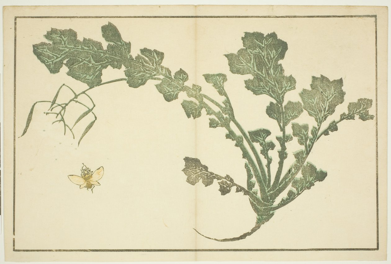 Vespa e gambo di rapa, da "Il libro illustrato di pitture realistiche di Hokusai (Hokusai shashin gafu)" da Katsushika Hokusai