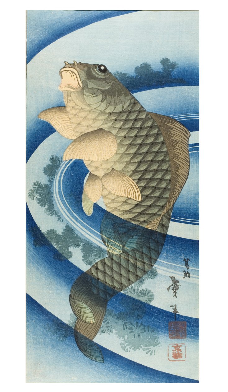 Carpa da Katsushika II (fl.1820-50) Taito