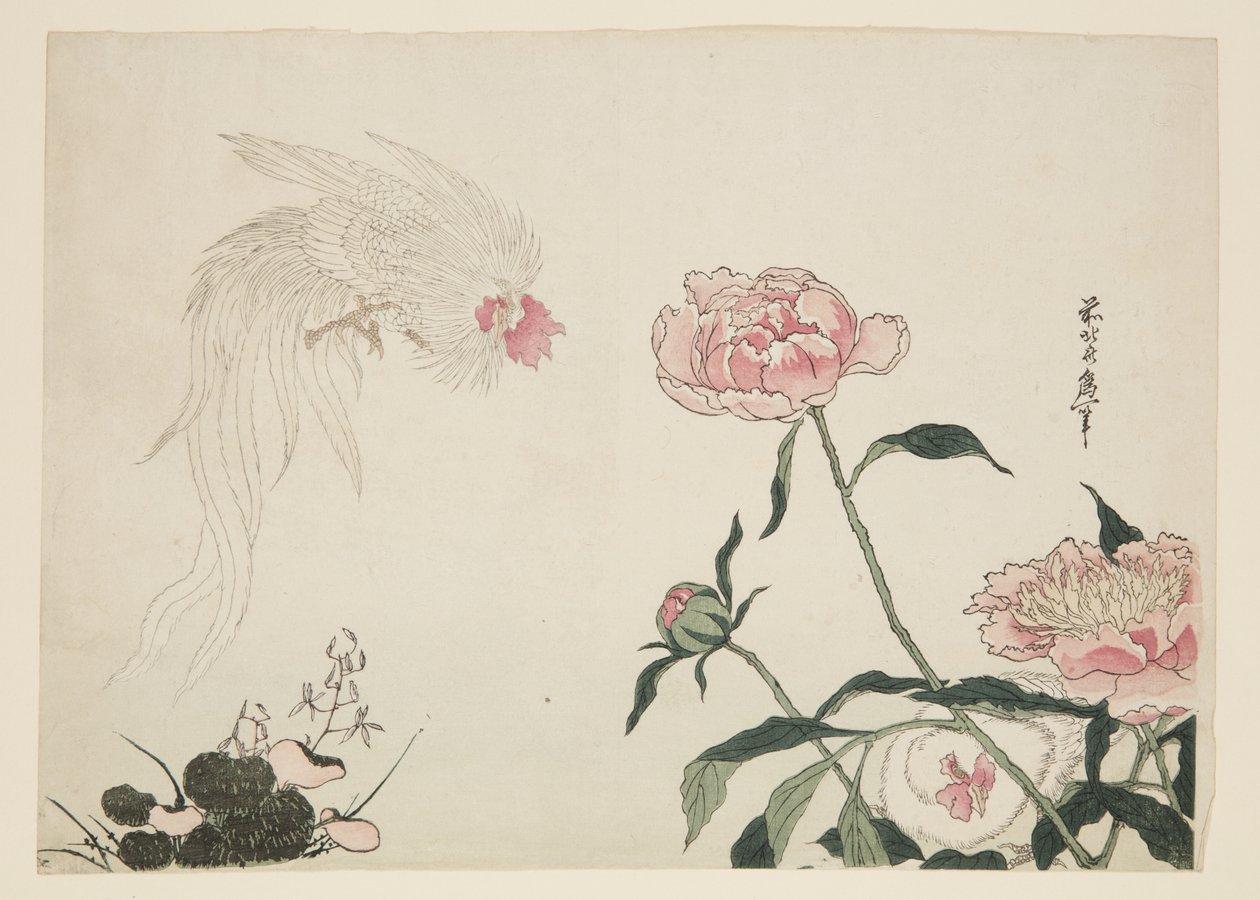 Galli a coda lunga tra i fiori da Katsushika II (fl.1820 50) Taito
