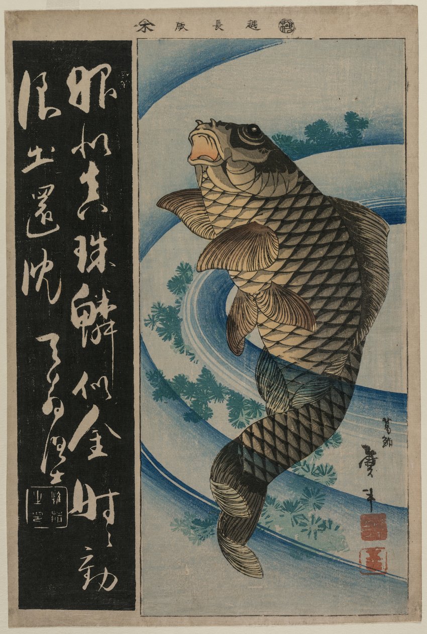 Carpa e alghe da Katsushika Taito II