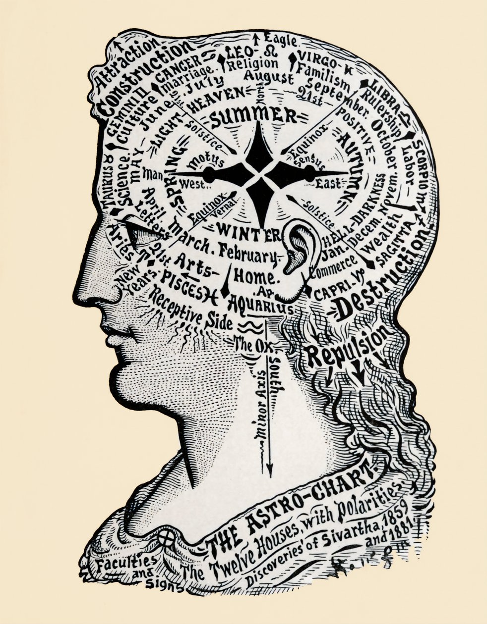 Una mappa della testa e delle spalle umane. XIX secolo da Alec Hunter