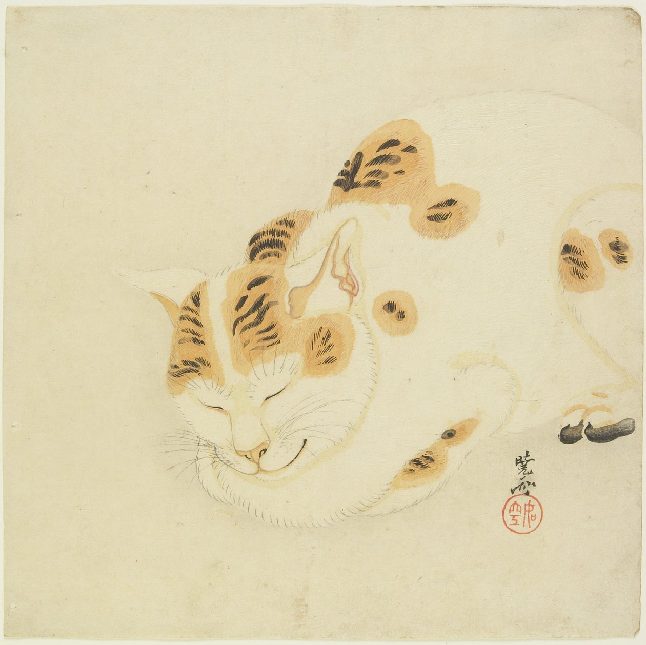 Gatto che dorme da Kawanabe Kyosai