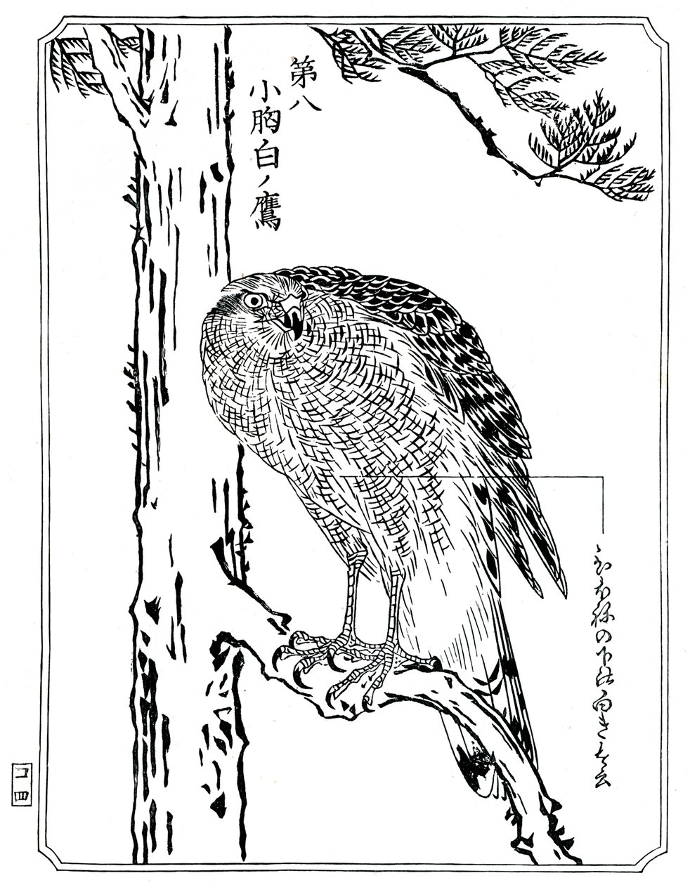 Un falco, 1898 da Kawanabe Kyosai
