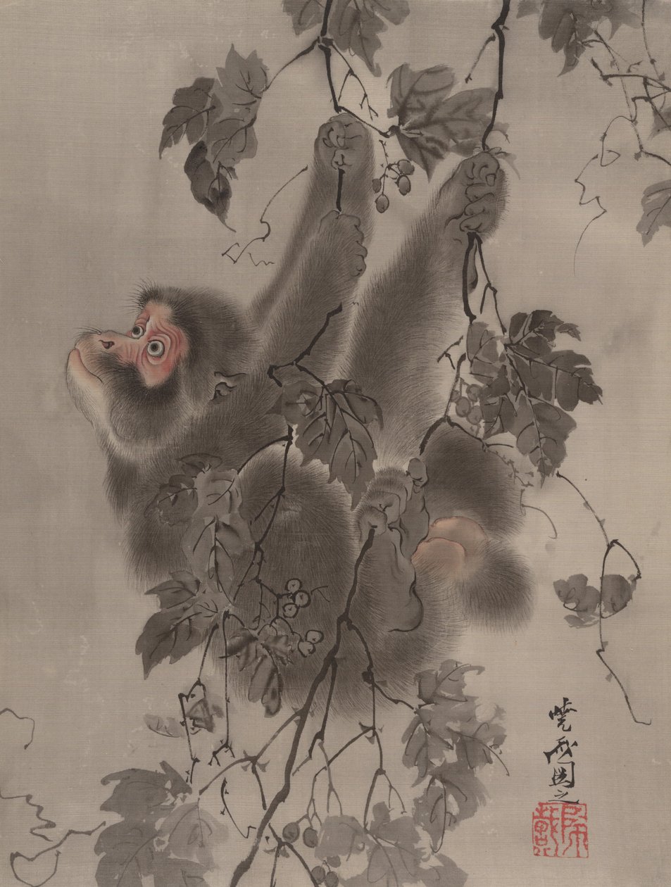 Scimmia appesa alle viti, ca. 1887 da Kawanabe Kyosai