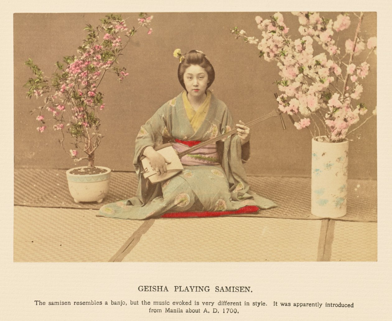 Geisha che suona il samisen da Kazumasa Ogawa