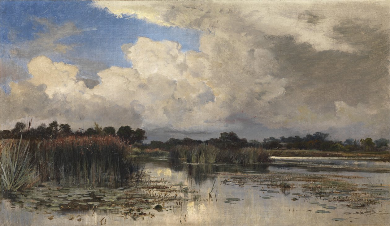 Palude dell