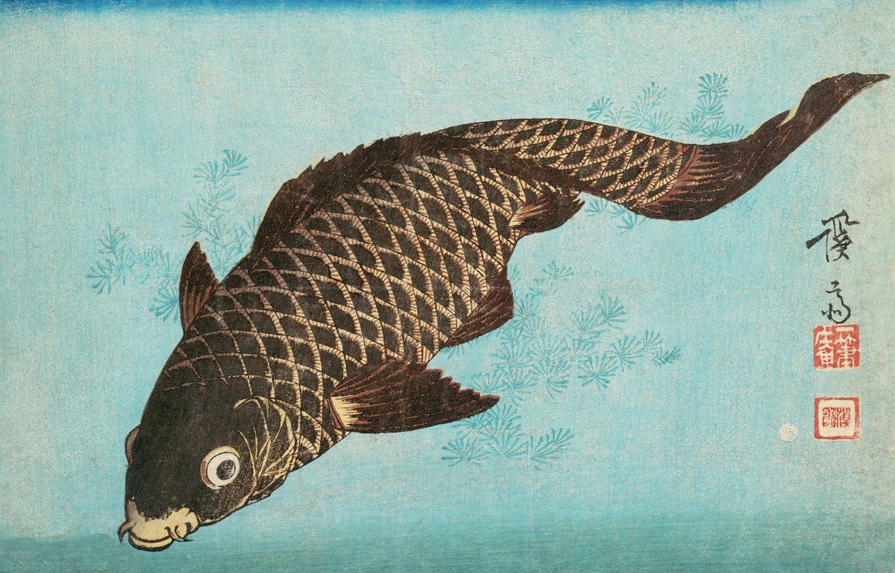 Koi, pub.1842 da Keisai Eisen