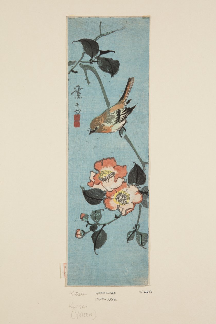 Passero e camelia da Keisai Eisen