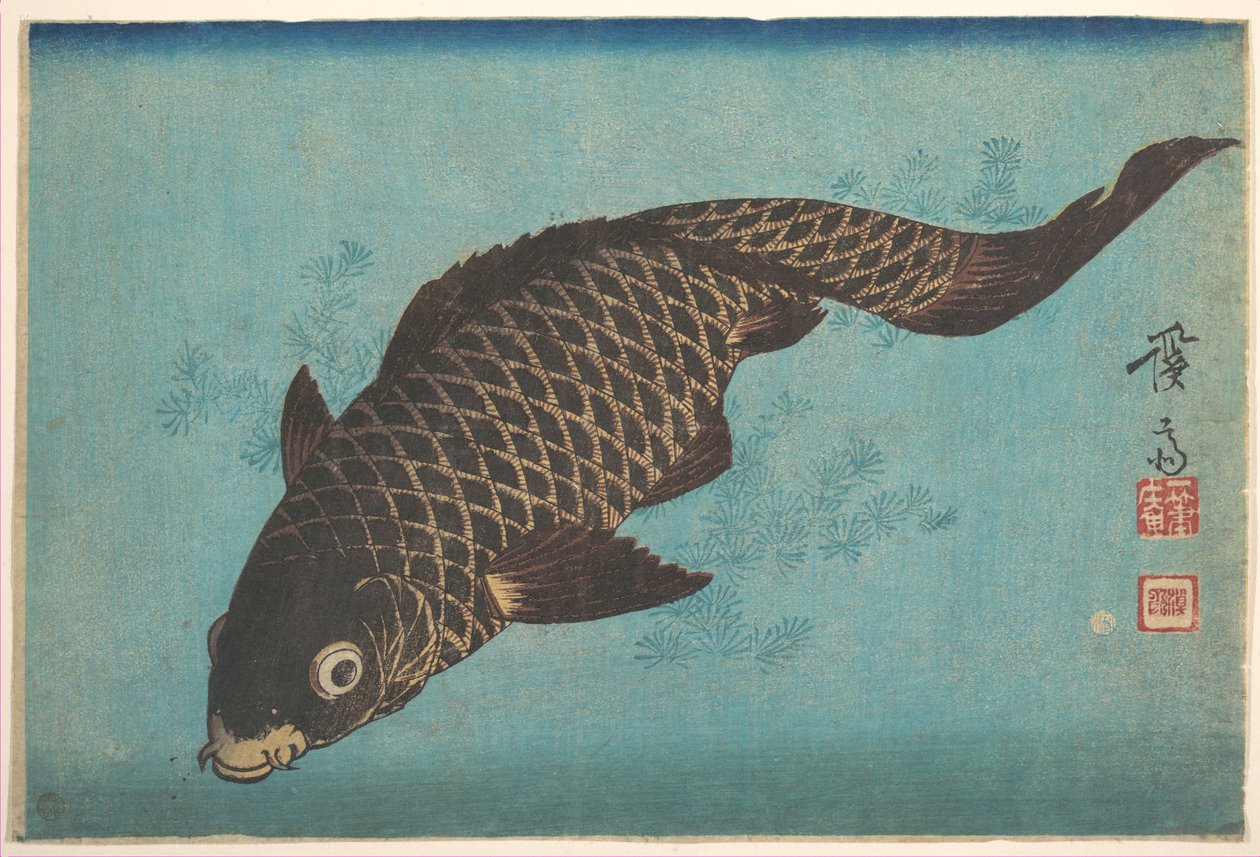 Carpa da Keisai Eisen