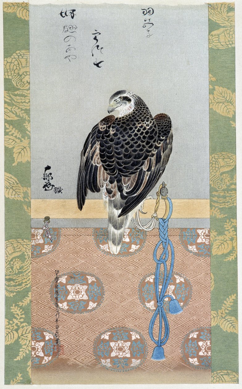 Falco - dipinto su seta di Itaya Keishiu da Keishu Hiromasa Itaya