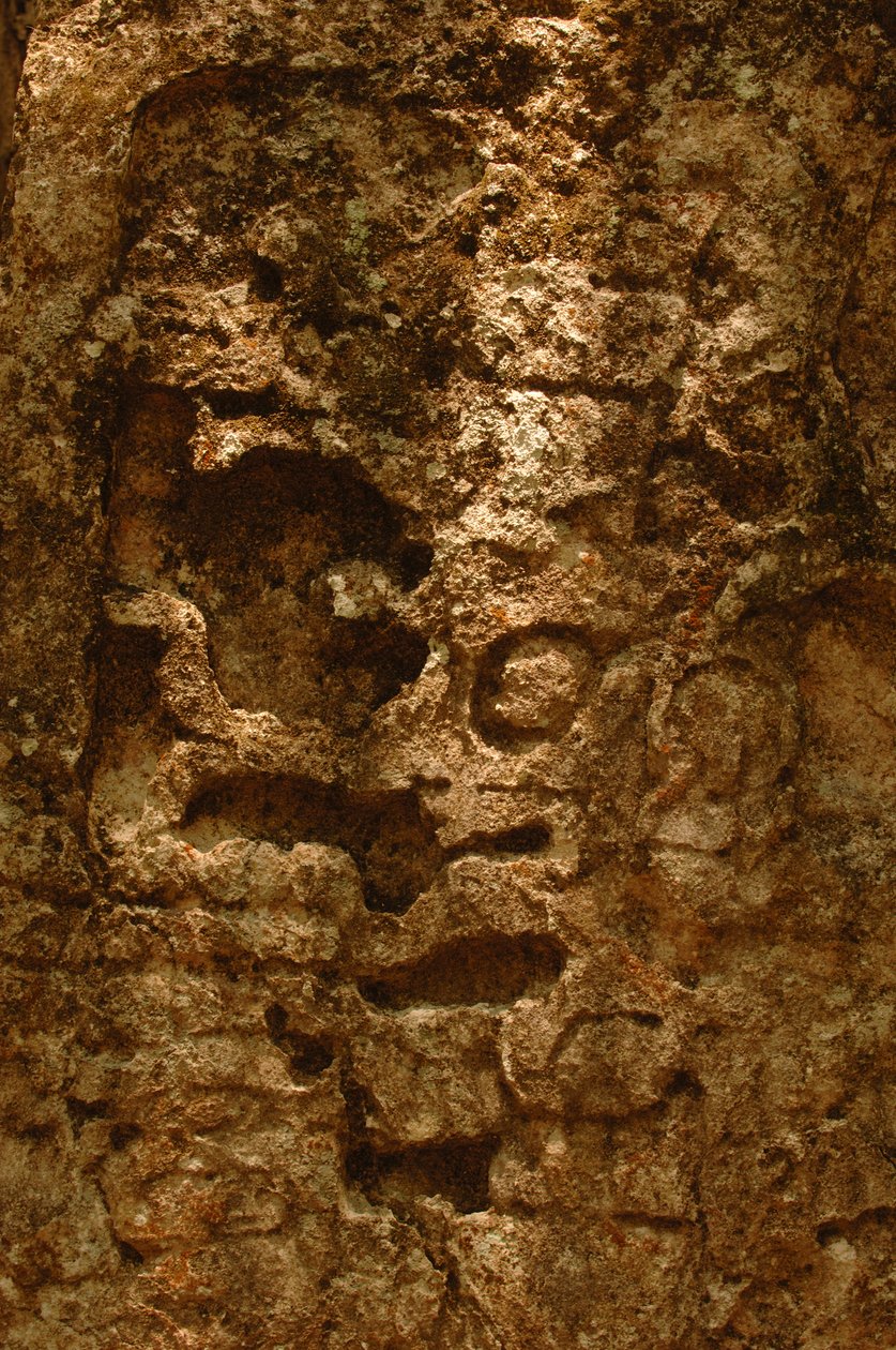 7319 Oxpemul, Maya, Culture Antiche, Maya, Messico, Riserva della Biosfera Maya, Ivan Spr, 2004 da Kenneth Garrett