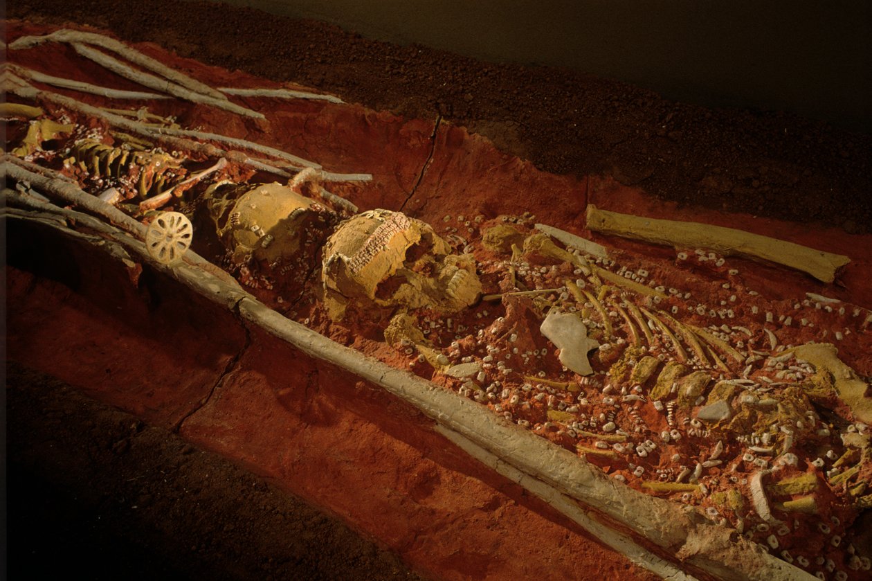 Archeologia; Ominide; Ominino; Evoluzione Umana - Homo sapiens sapiens; Evoluzione Umana; Era Glaciale, 2000 (foto) da Kenneth Garrett