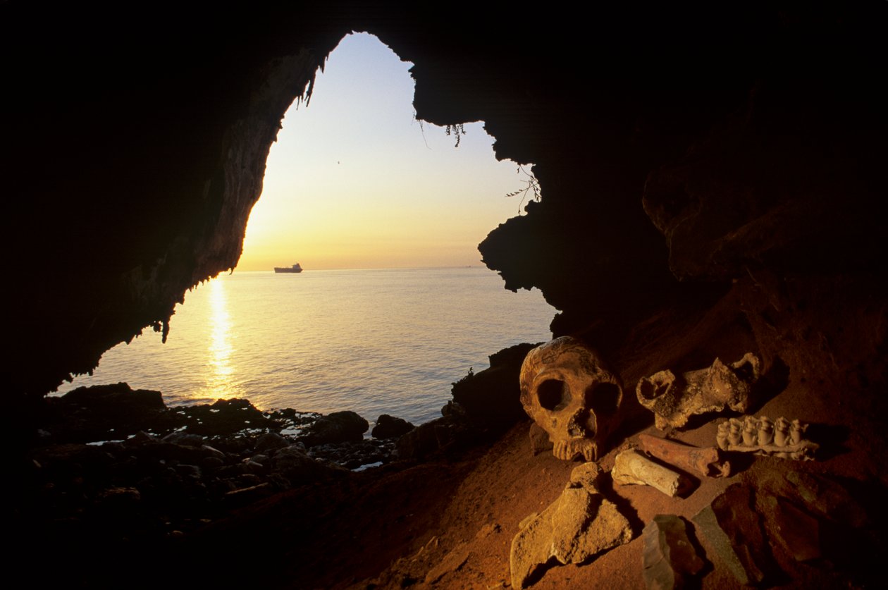 Neandertaliani, cranio di donna, strumenti scheggiati, ossa di stambecco, Grotta di Gorham, Gibilterra da Kenneth Garrett
