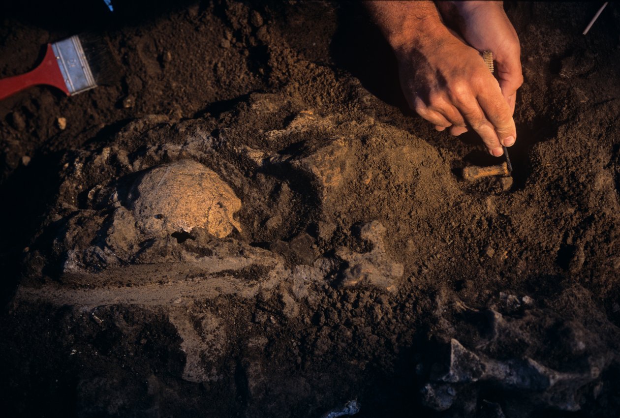 Dmanisi, Georgia, David Lordkipanidze, Homo Erectus da Kenneth Garrett