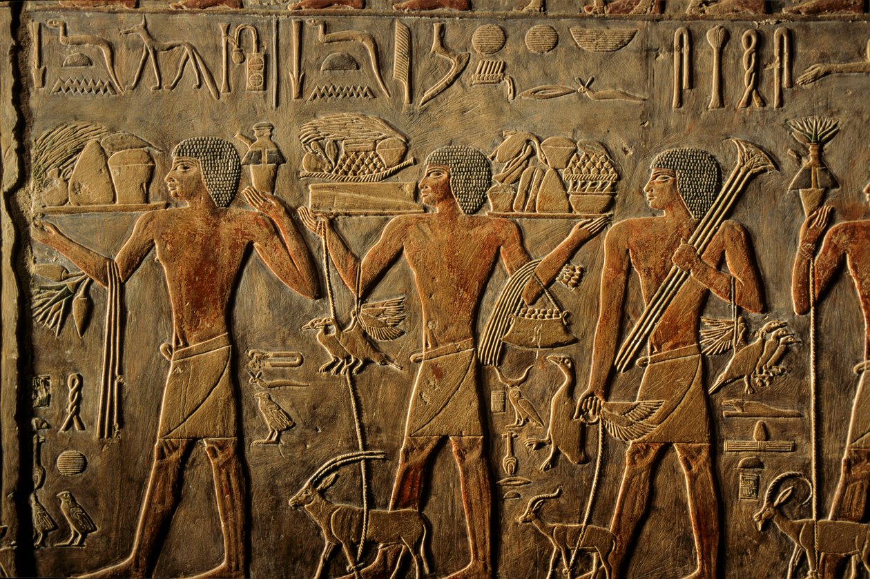 Egitto; Antico Regno; Saqqara; Sakkara; Tomba di Ptah Hotep; Eternità da Kenneth Garrett