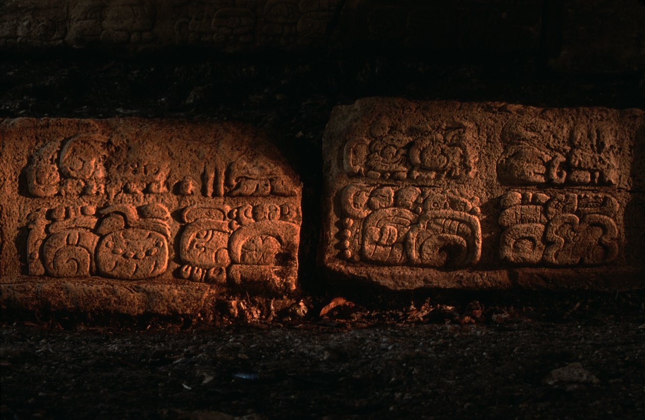 Maya, Guatemala, Scalinata di Dos Pilas da Kenneth Garrett