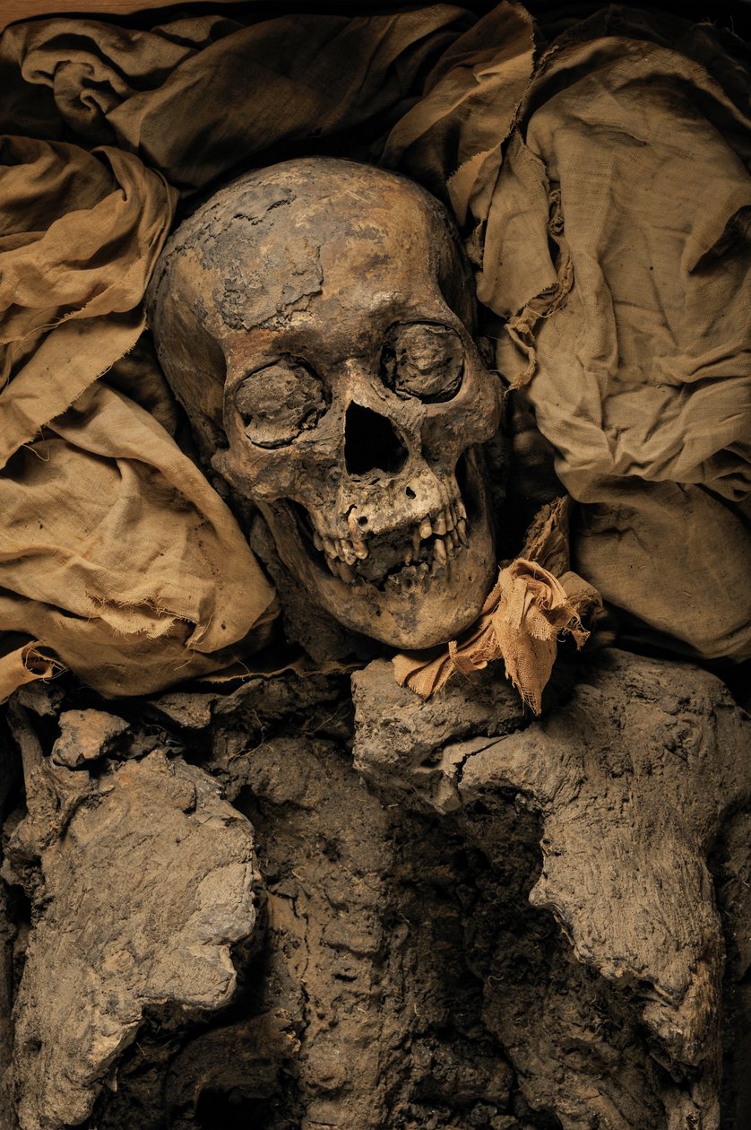 Mummia di Amenhotep III, nonno di Tutankhamon, KV 35, 18ª Dinastia, 2005 da Kenneth Garrett