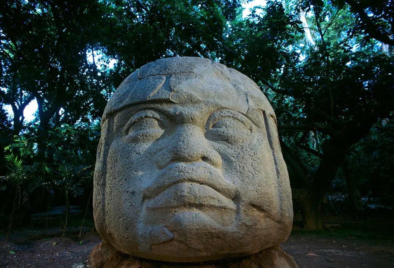 Olmechi; Messico; Culture Antiche; Americhe; Archeologia; manufatto; La Venta; Testa Olmeca da Kenneth Garrett