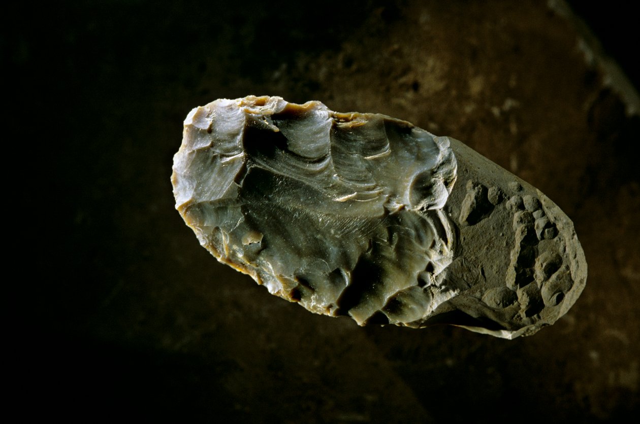 Popolamento delle Americhe, Ascia di Pietra, sito di Gault, Texas, America, 2000 da Kenneth Garrett