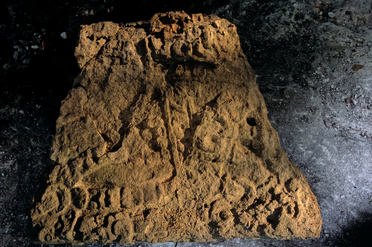 Stele, Sufricaya, Holmul, Guatemala, Maya, Francisco Estradabelli, 2008 da Kenneth Garrett