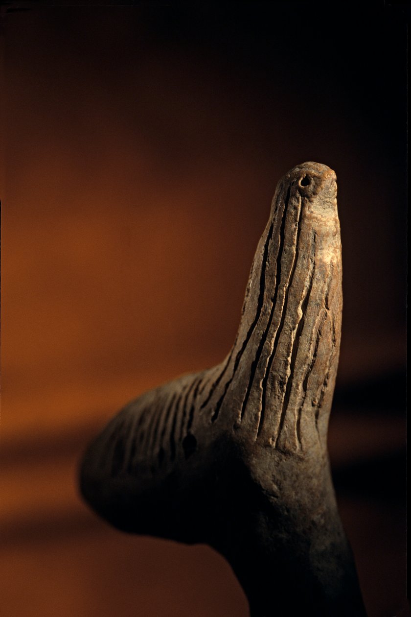 Urkesh, Impero Hurrita, Siria, 2400 a.C., Giorgio Buccellati, Archeologia, 2004 da Kenneth Garrett