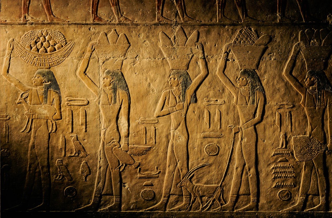 Donne che portano pane, uccelli, capre e prodotti, tomba di Tiye, Egitto; Antico Regno; Saqqara da Kenneth Garrett