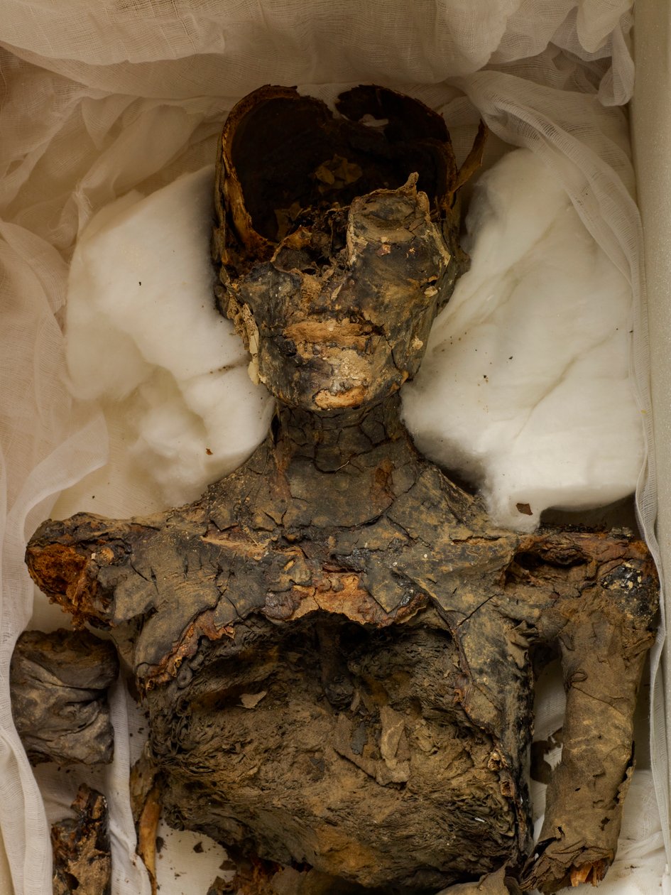 18ª Dinastia; Nuovo Regno; Egitto; Museo Egizio; Cairo; Mummia; Valle dei Re, 2009 (foto) da Kenneth Garrett