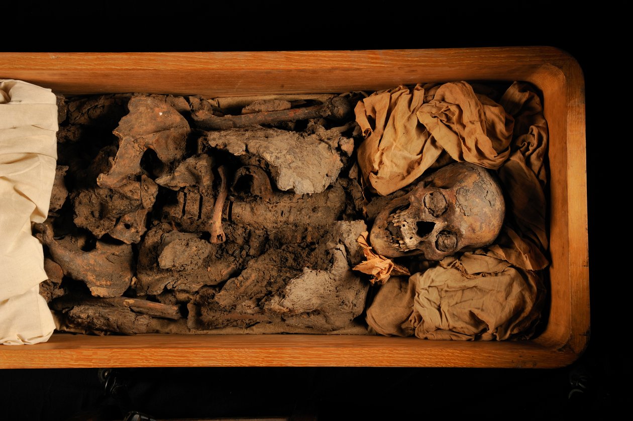 mm7864; Tutankhamon; XVIII dinastia; Nuovo Regno; Museo Egizio; Il Cairo; DNA; campione, 2005 da Kenneth Garrett