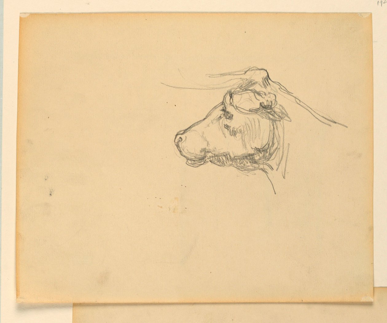 Studio per "Pastore", "Il progresso della civiltà: Caccia, Pastorizia, Agricoltura," Campidoglio dello Stato, Des Moines, IA da Kenyon Cox