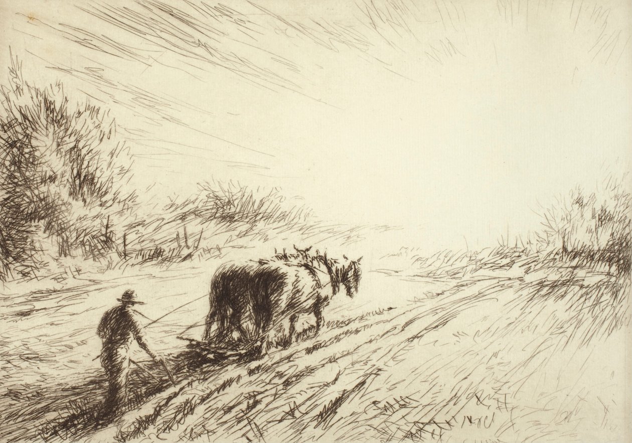 Aratura precoce (primavera) da Kerr Eby