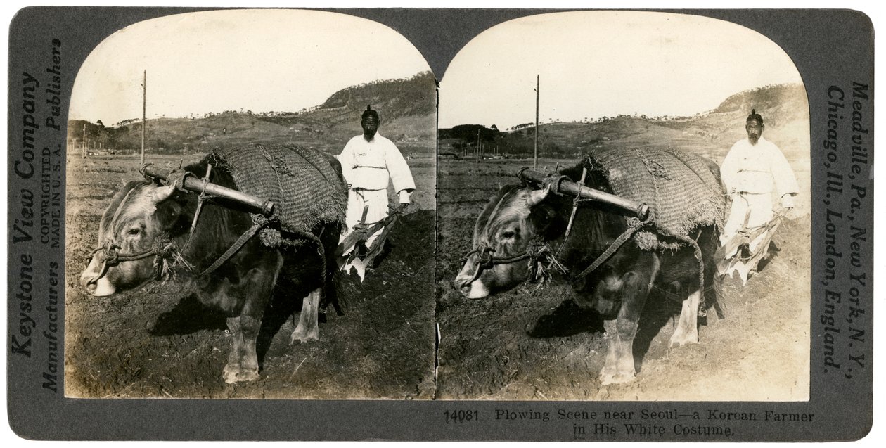 Agricoltura vicino a Seoul, Corea del Sud, anni 1900 da Keystone View Company