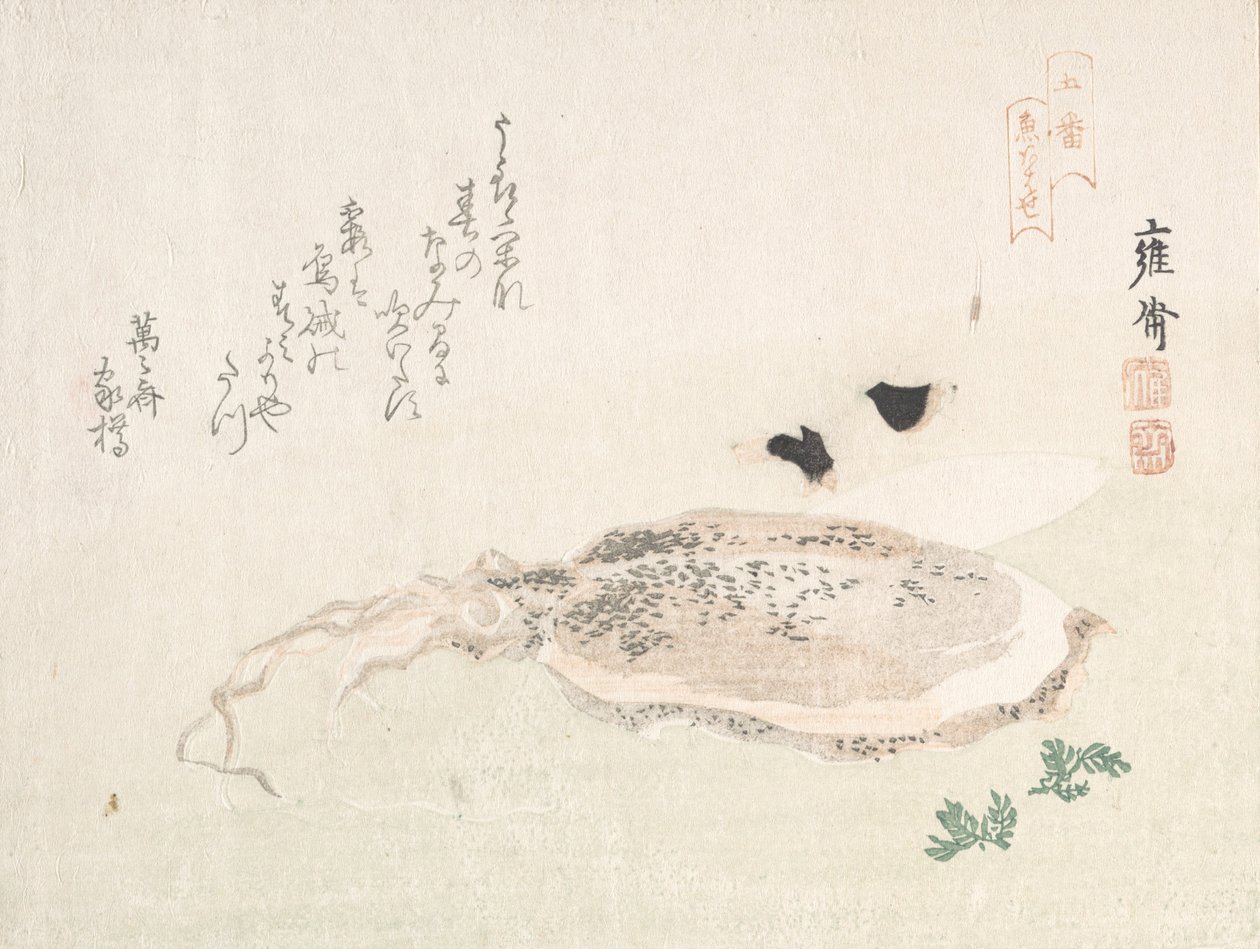 Seppia, inizio XIX secolo da Kikuchi Yosai
