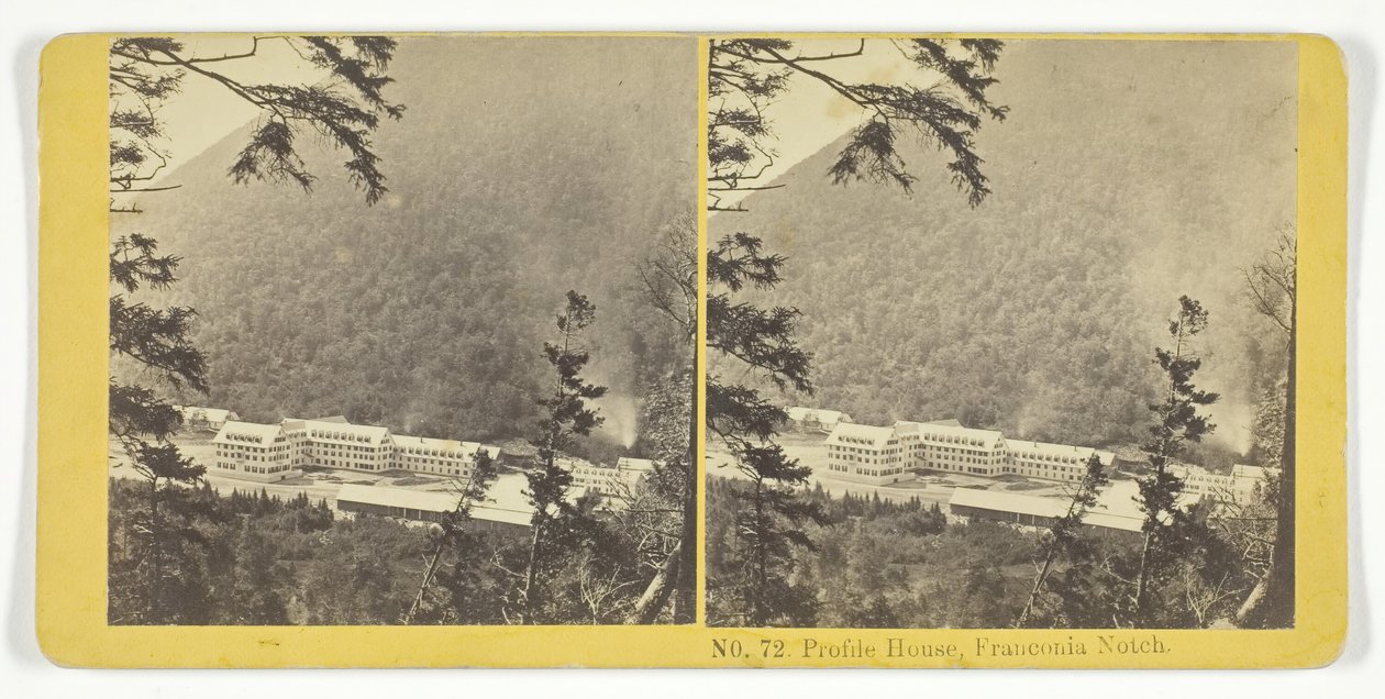 Profile House, Franconia Notch, 1855-75 da Kilburn Brothers, BW Kilburn