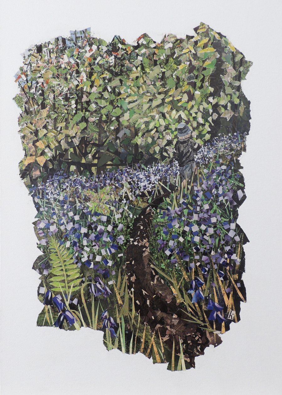 Bosco di campanule da Kirstie Adamson