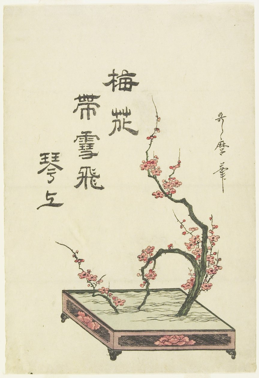 (Composizione di fiori di prugna) da Kitagawa Utamaro