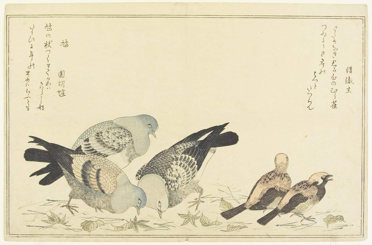 Passero arboricolo e colombo selvatico, c. 1790 da Kitagawa Utamaro