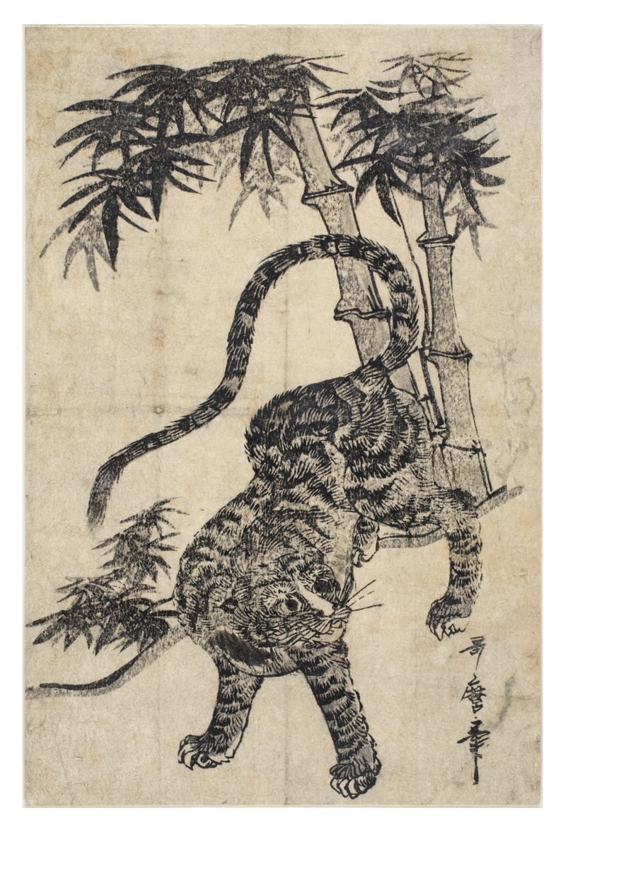 Tigre da Kitagawa II Utamaro