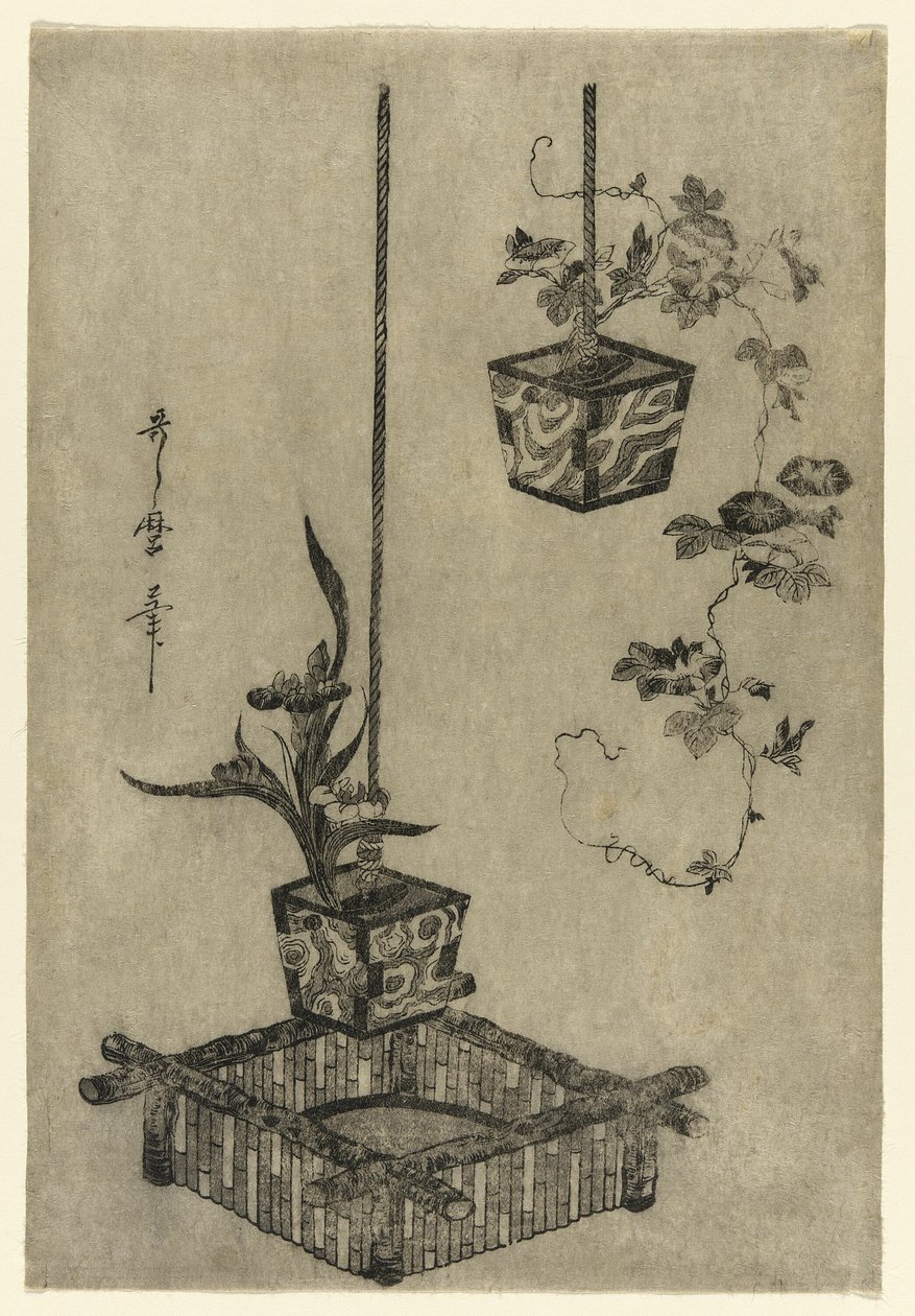 Disposizioni di iris e glorie del mattino da Kitagawa Utamaro