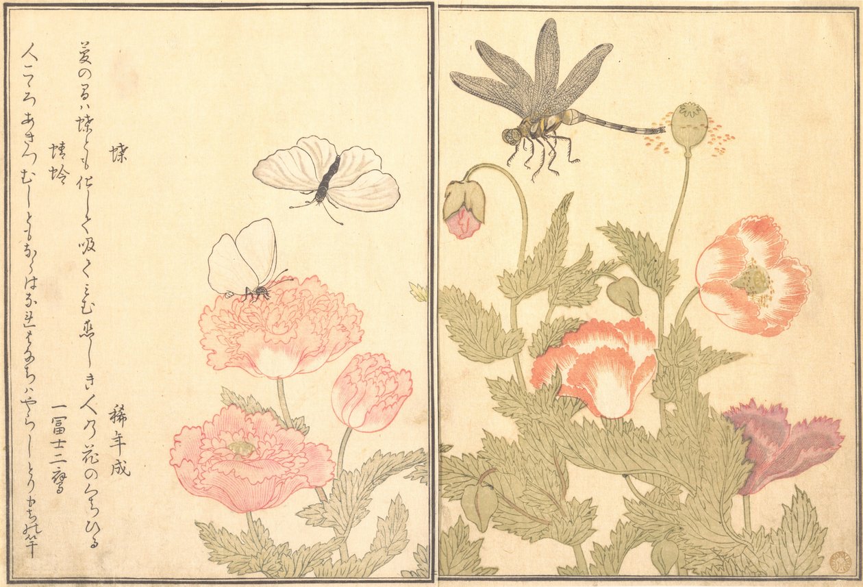 Farfalla Cho, Libellula Kagero o Tonbo, 1788 da Kitagawa Utamaro