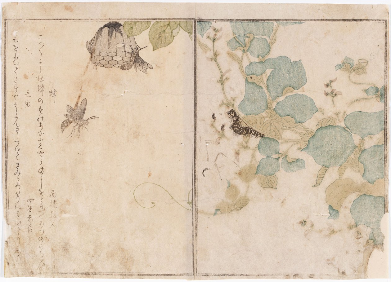 Bruchi e api da Kitagawa Utamaro