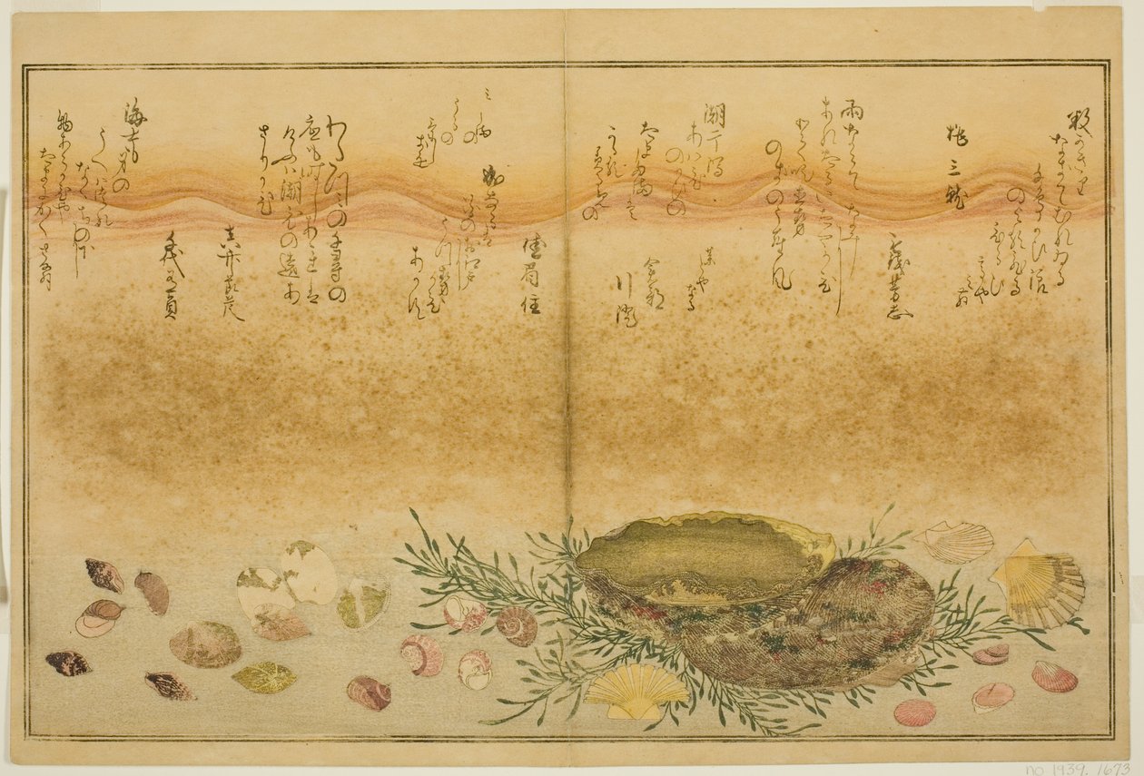 Chidori-gai, itaya-gai, awabi, utsuse-gai, asari-gai, e monoara-gai, dal libro illustrato "Regali dalla Bassa Marea (Shiohi no tsuto)" da Kitagawa Utamaro