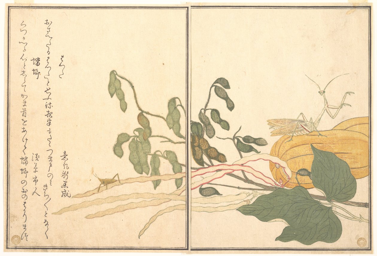 Cavalletta dalla testa a cono o locusta (batta); Mantide religiosa (Tōrō o Kamakiri), dal libro illustrato “Ehon mushi erami” (Il libro illustrato degli insetti striscianti) da Kitagawa Utamaro