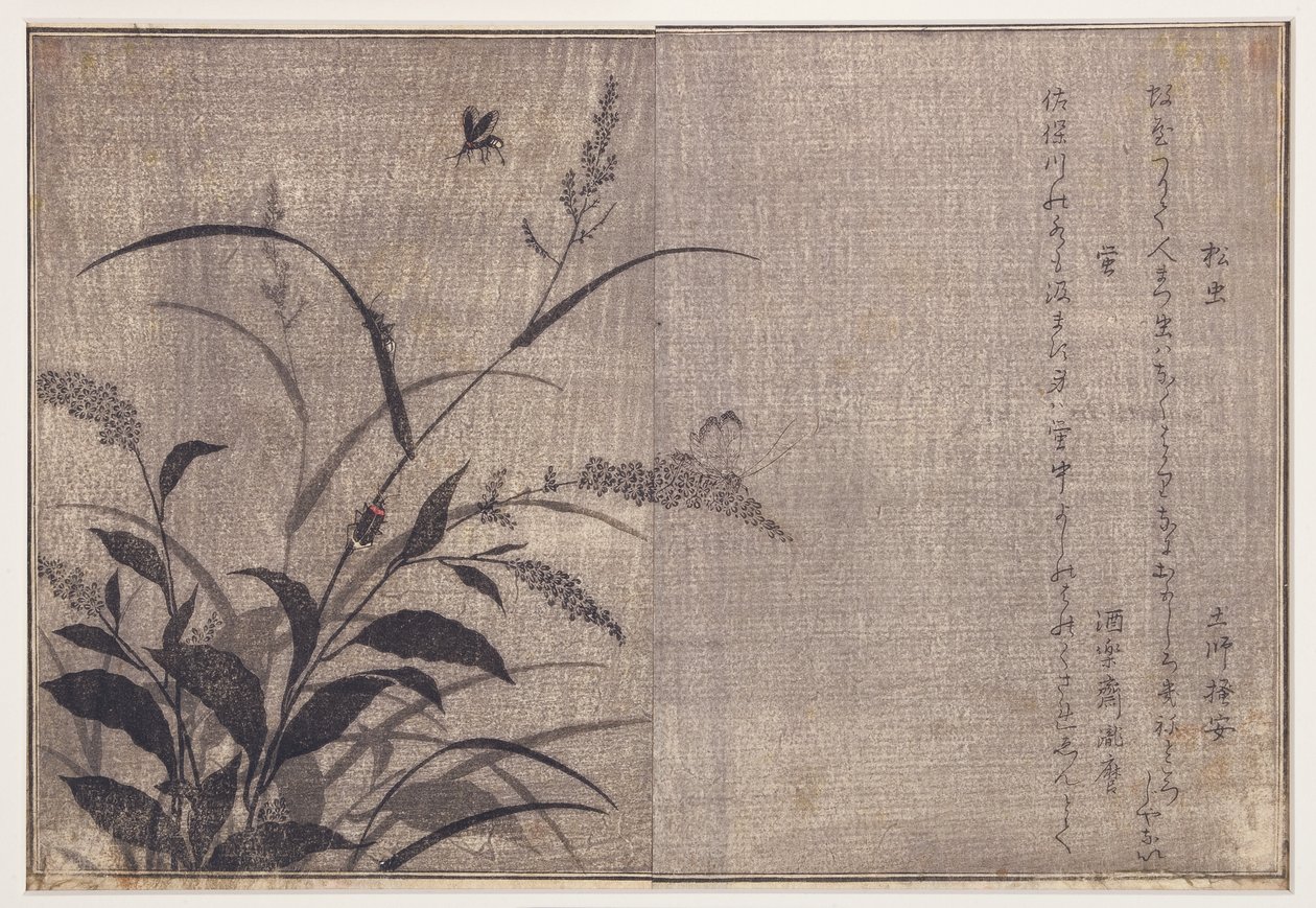Grilli e lucciole, 1788 da Kitagawa Utamaro