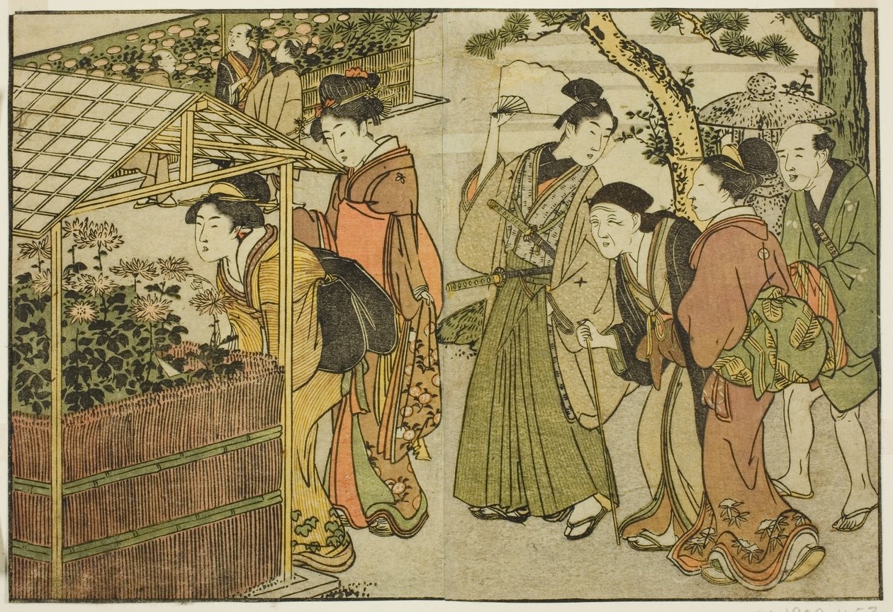 Esposizione di crisantemi, dal libro illustrato "Libro illustrato: Fiori delle quattro stagioni," vol. 2 da Kitagawa Utamaro