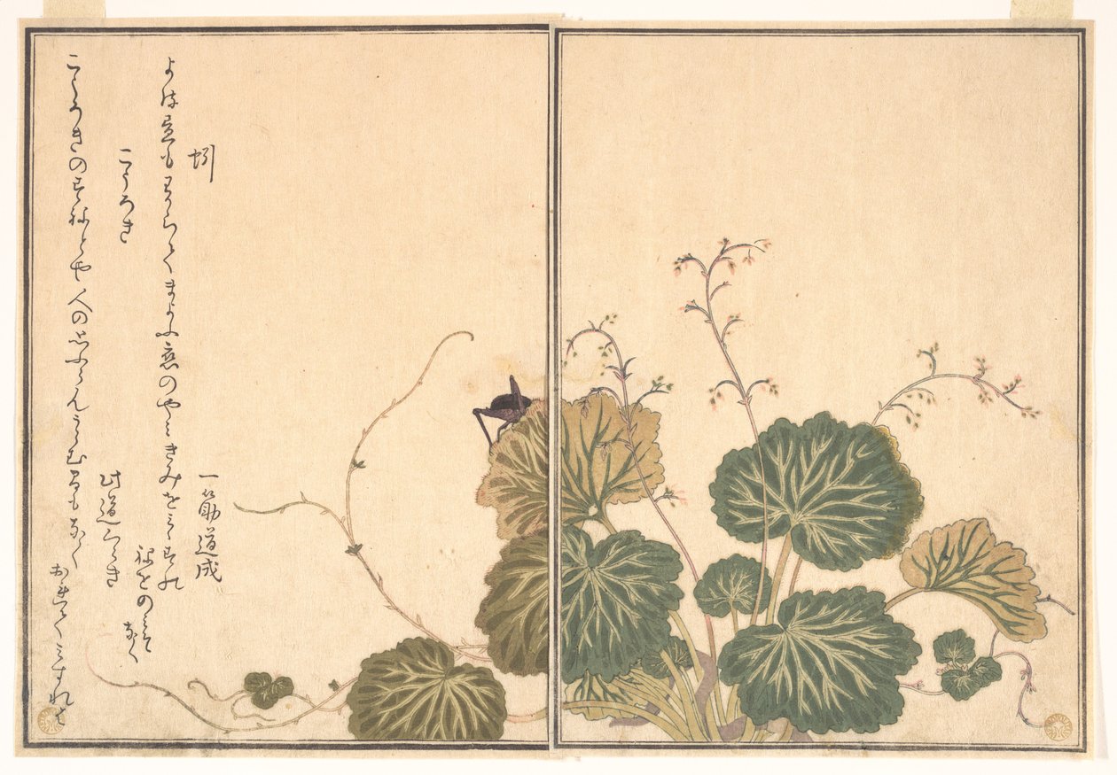 Lombrico (Mimizu); grillo (Kōrogi), dal Libro illustrato delle creature striscianti (Ehon mushi erami) da Kitagawa Utamaro