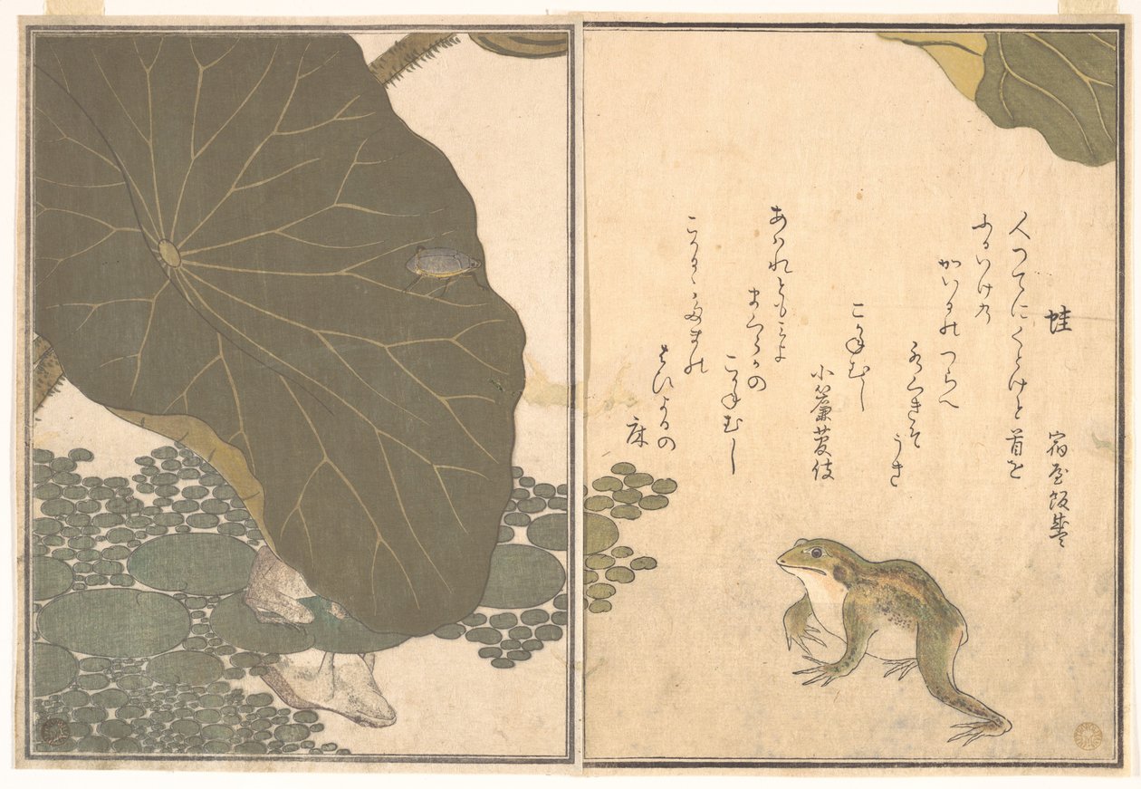 Rana (Kaeru); scarabeo dorato (Kogane mushi), dal Libro illustrato delle creature striscianti (Ehon mushi erami) da Kitagawa Utamaro