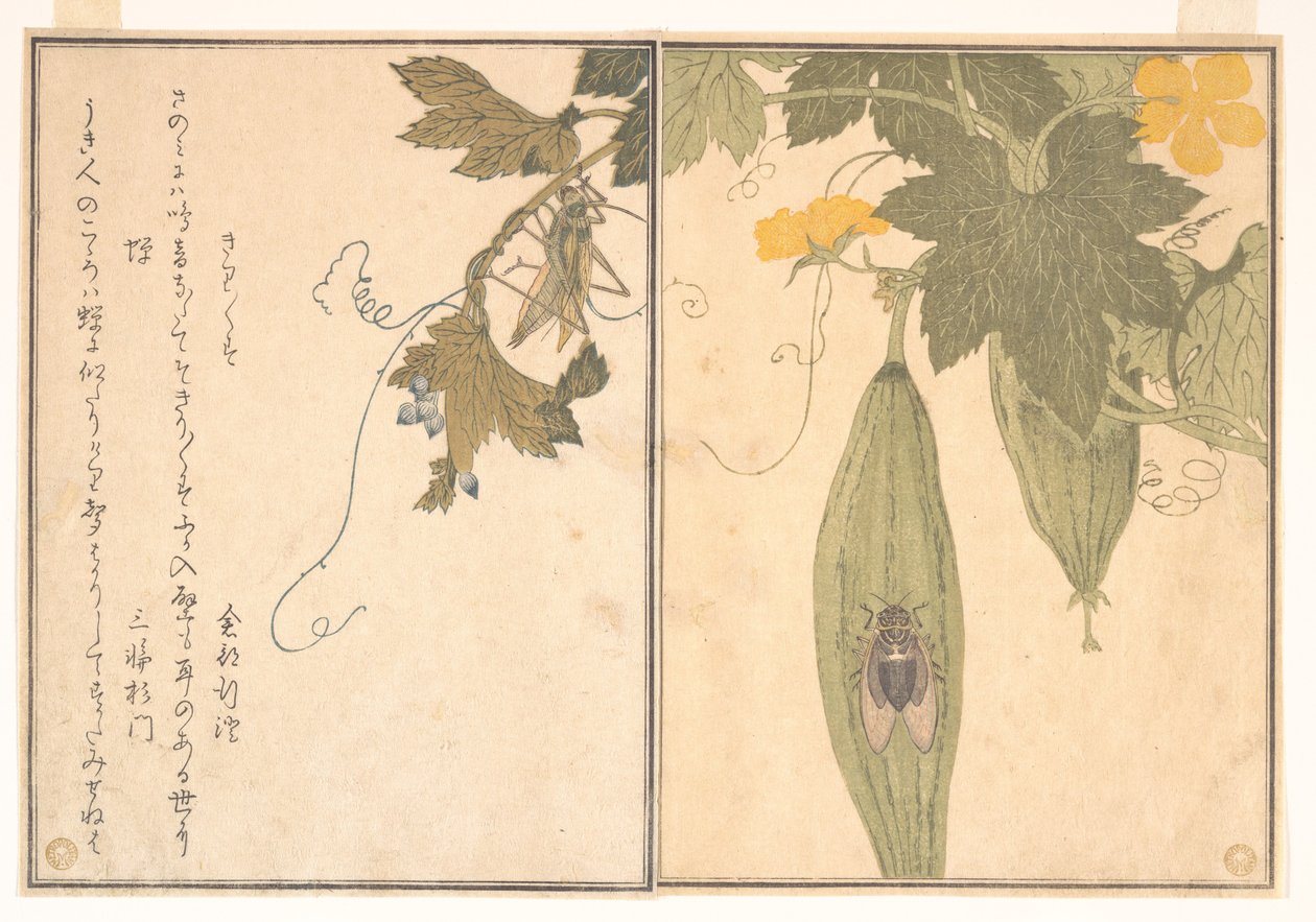Cavalletta (Kirigirisu); cicala (Semi), dal Libro illustrato delle creature striscianti (Ehon mushi erami) da Kitagawa Utamaro