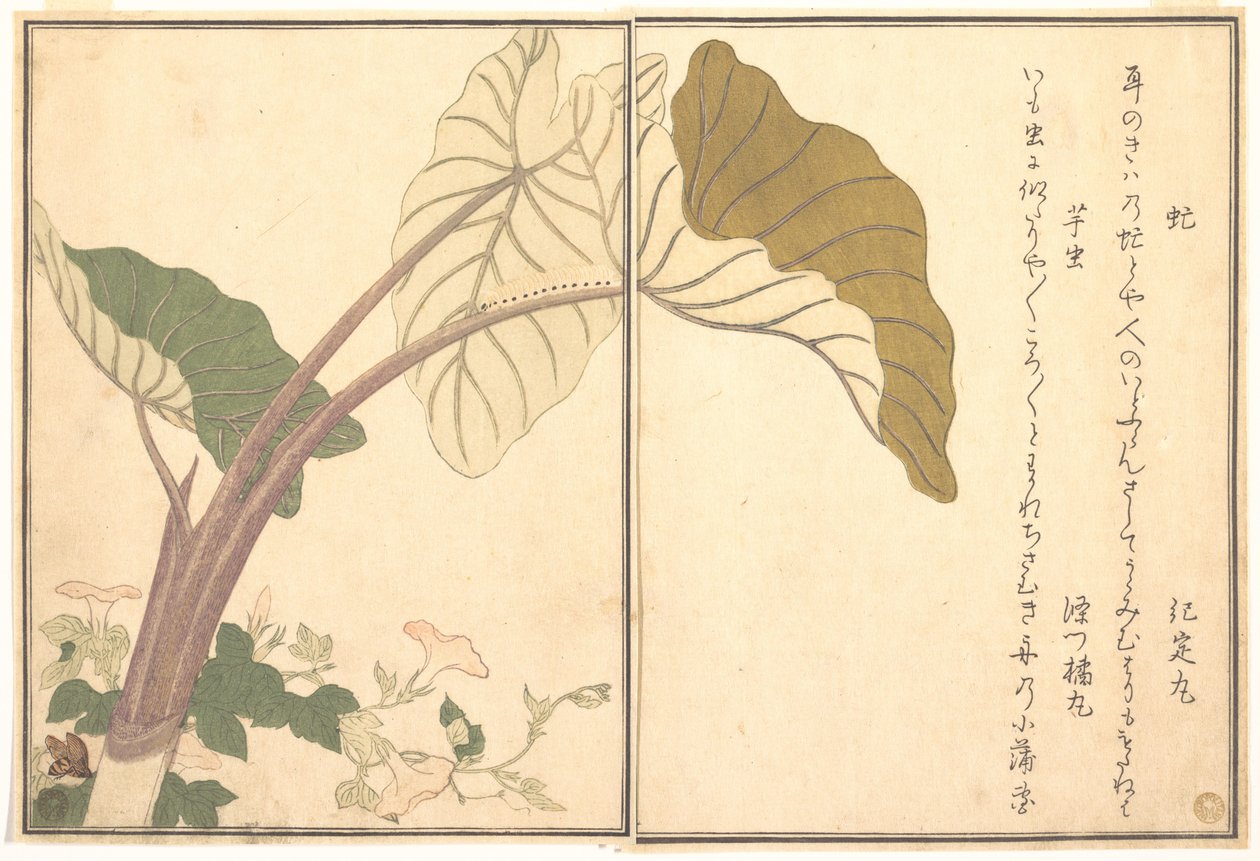 Mosca cavallina (abu); bruco verde, imomushi, dal Libro illustrato delle creature striscianti (Ehon mushi erami) da Kitagawa Utamaro