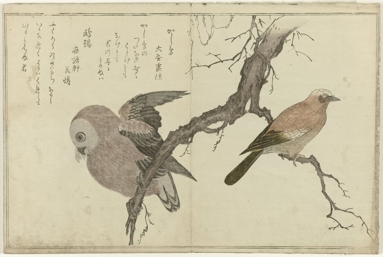 Ghiandaia e gufo da Kitagawa Utamaro